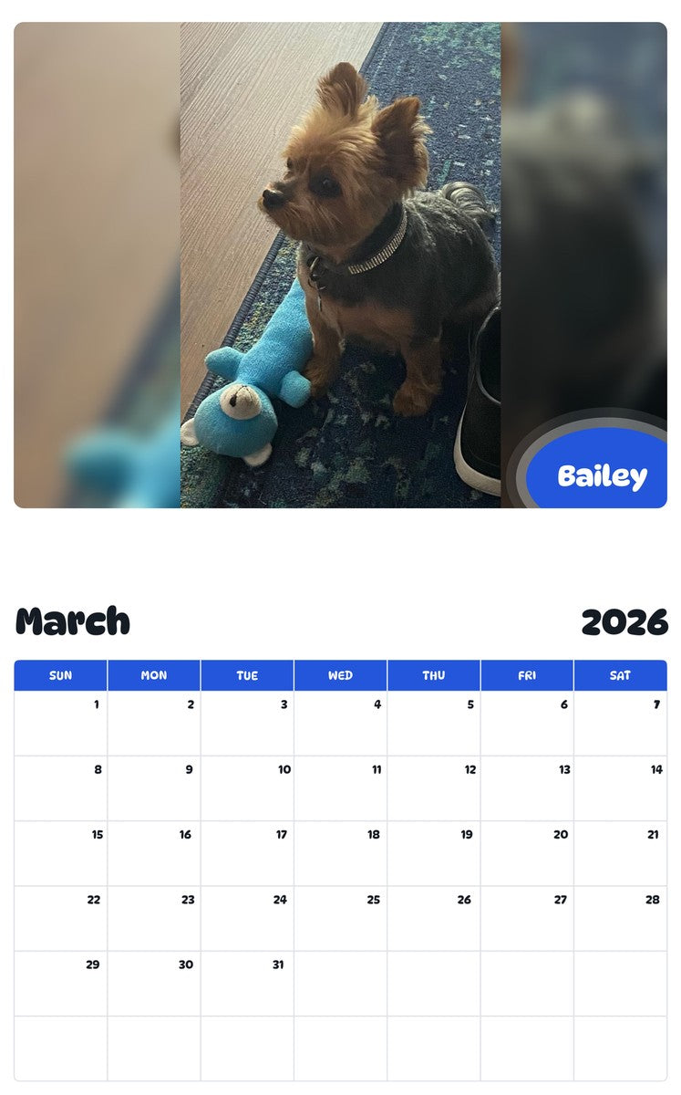 November 2025 - October 2026 Bailey - Pawidols Pet Calendar