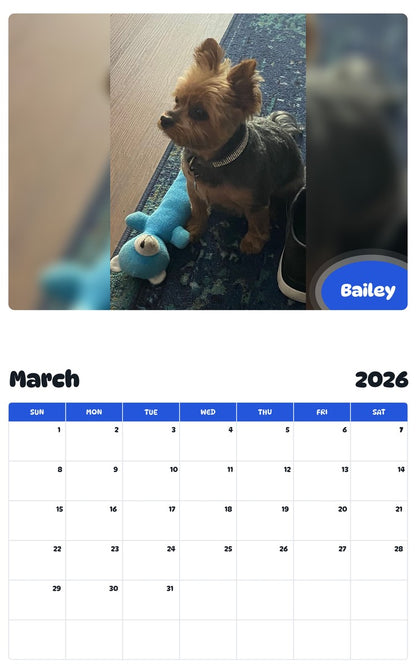 November 2025 - October 2026 Bailey - Pawidols Pet Calendar
