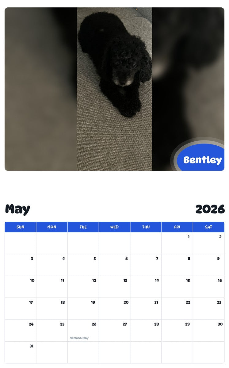 2026 - 2027 Bentley - Pawidols Pet Calendar