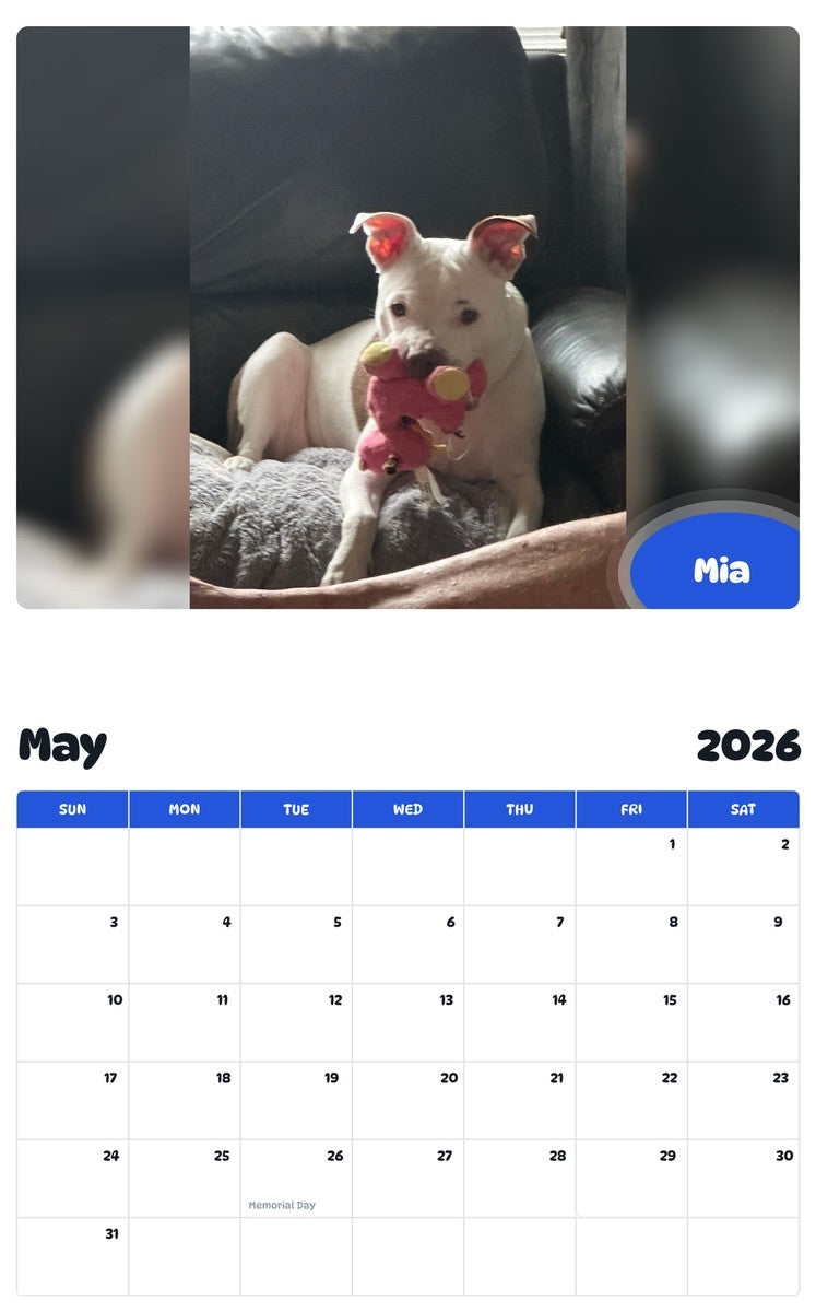 2026 - 2027 Mia - Pawidols Pet Calendar