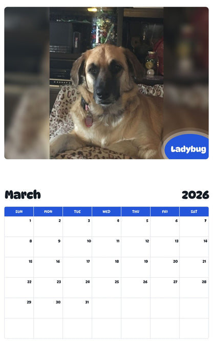 November 2025 - October 2026 Ladybug - Pawidols Pet Calendar