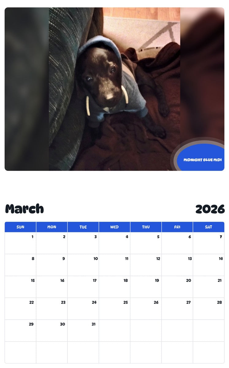 November 2025 - October 2026 MIDNIGHT BLUE MIDI - Pawidols Pet Calendar