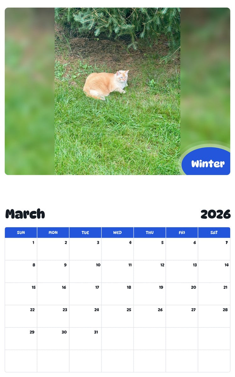 November 2025 - October 2026 Winter - Pawidols Pet Calendar