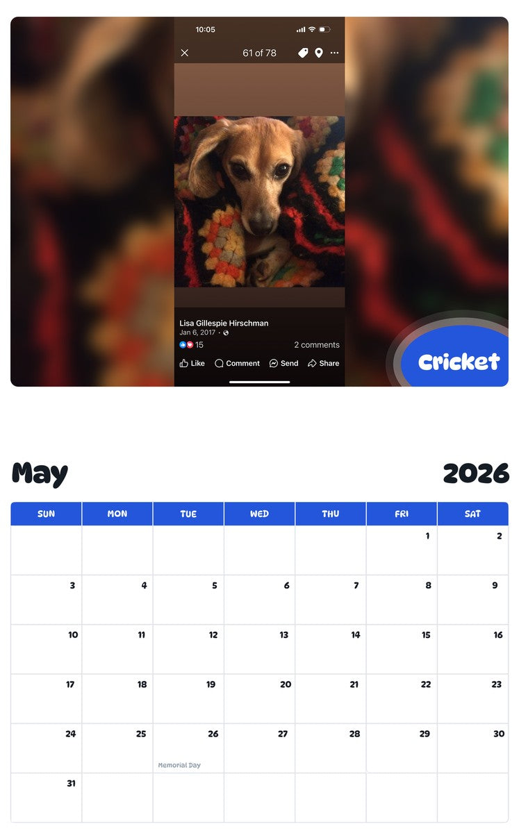 2026 - 2027 Cricket - Pawidols Pet Calendar