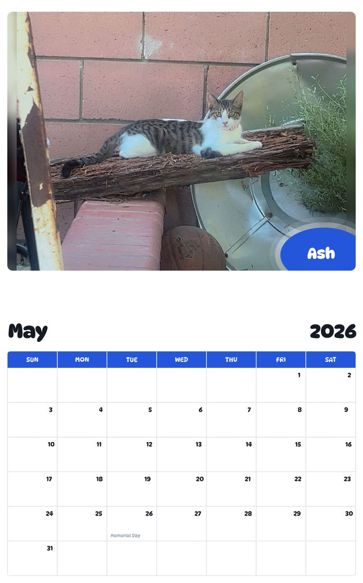 2026 - 2027 Ash - Pawidols Pet Calendar