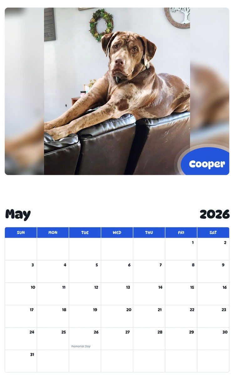 2026 - 2027 Cooper - Pawidols Pet Calendar