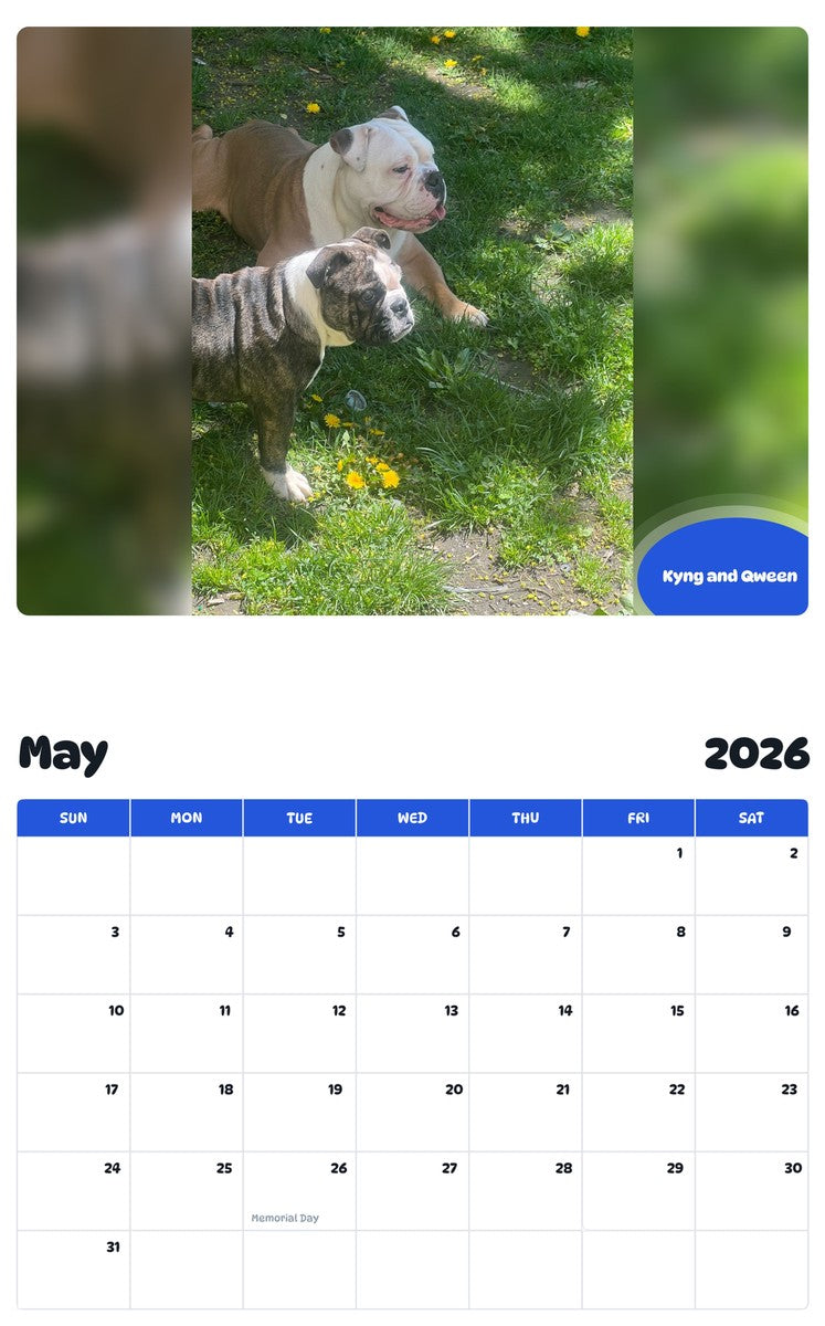 2026 - 2027 Kyng and Qween - Pawidols Pet Calendar