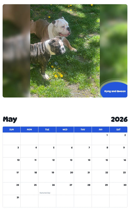 2026 - 2027 Kyng and Qween - Pawidols Pet Calendar