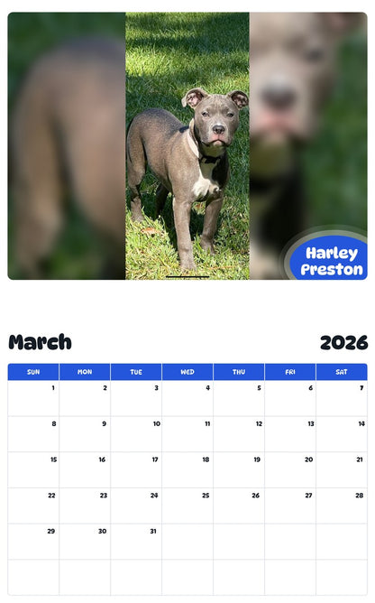 November 2025 - October 2026 Harley Preston - Pawidols Pet Calendar
