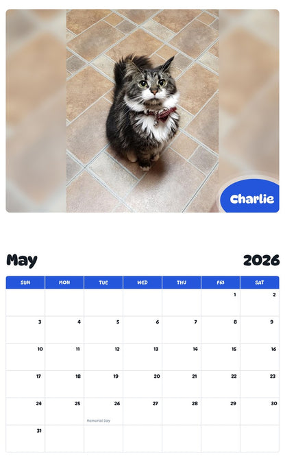 2026 - 2027 Charlie - Pawidols Pet Calendar