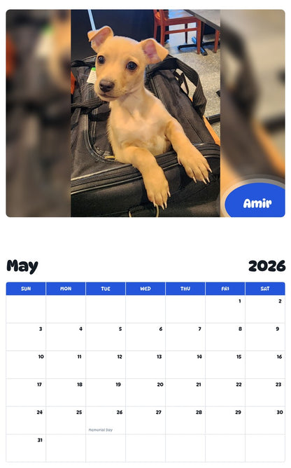 2026 - 2027 Amir - Pawidols Pet Calendar