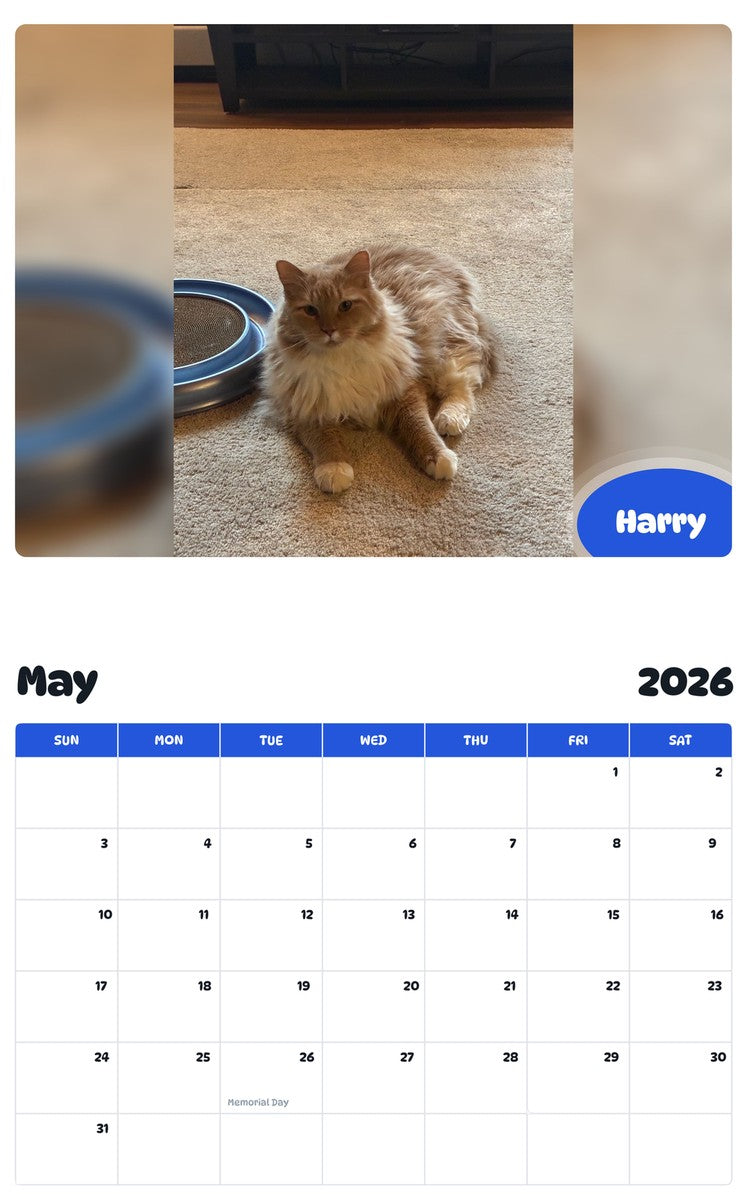 2026 - 2027 Harry - Pawidols Pet Calendar