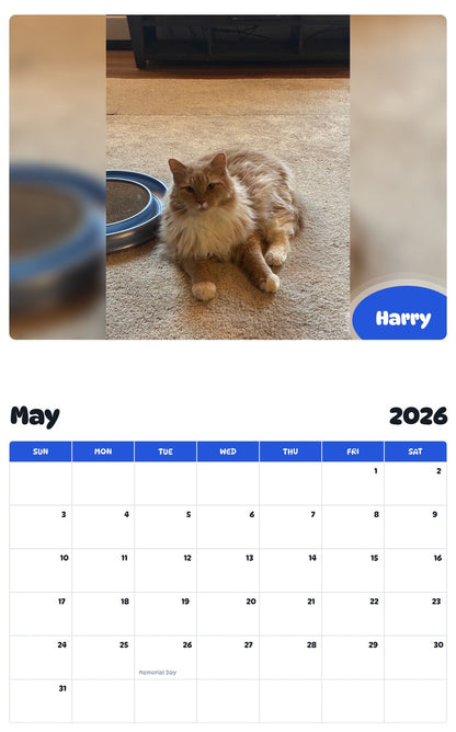 2026 - 2027 Harry - Pawidols Pet Calendar