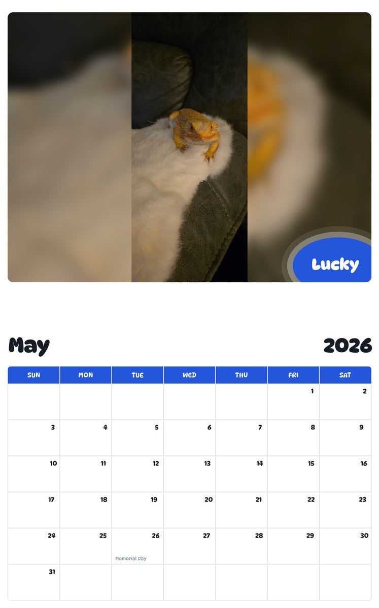 2026 - 2027 Lucky - Pawidols Pet Calendar