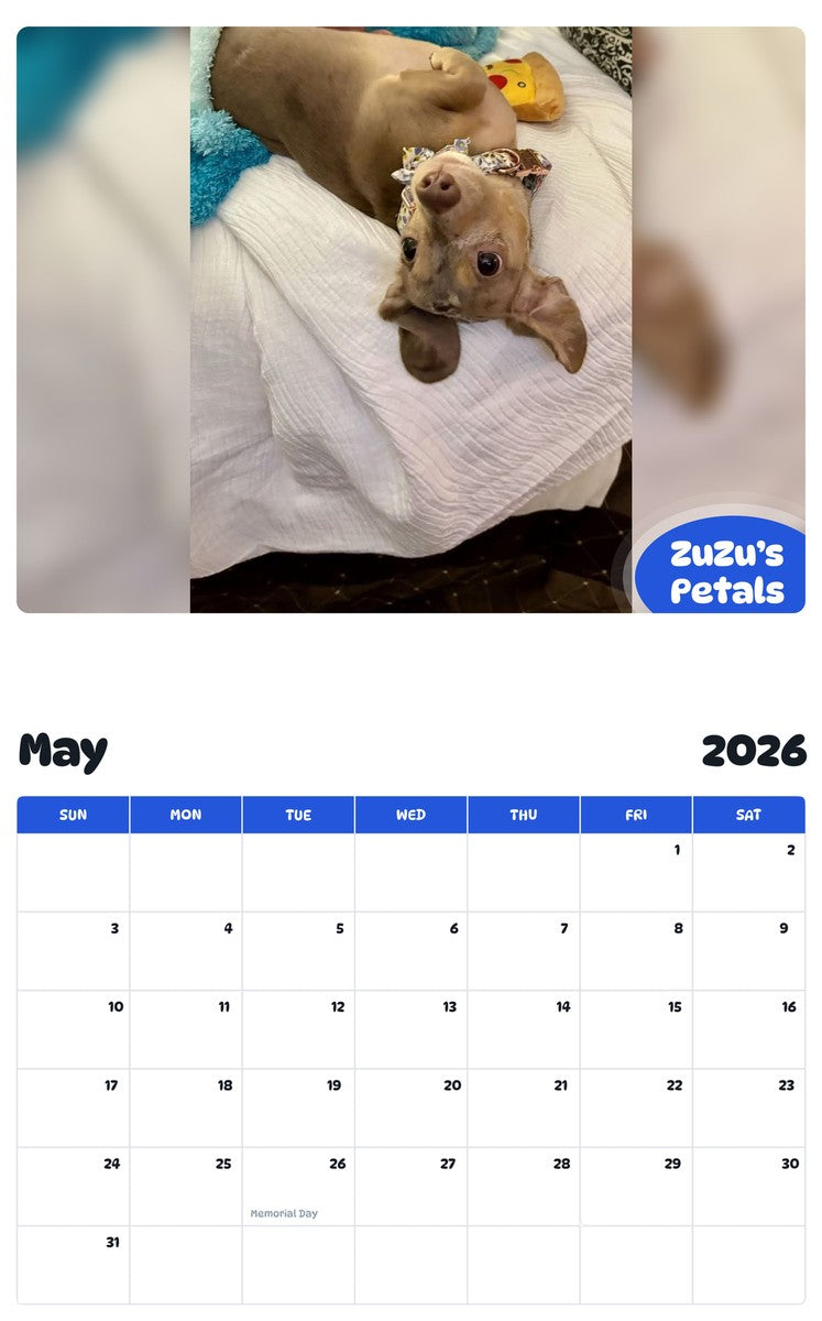 2026 - 2027 ZuZu’s Petals - Pawidols Pet Calendar