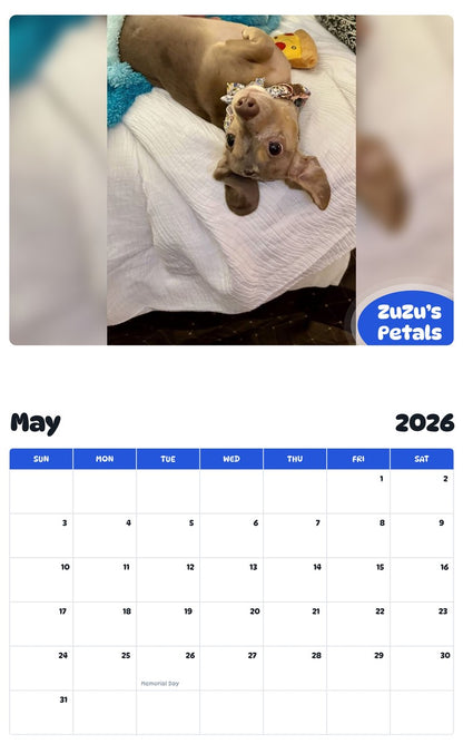 2026 - 2027 ZuZu’s Petals - Pawidols Pet Calendar
