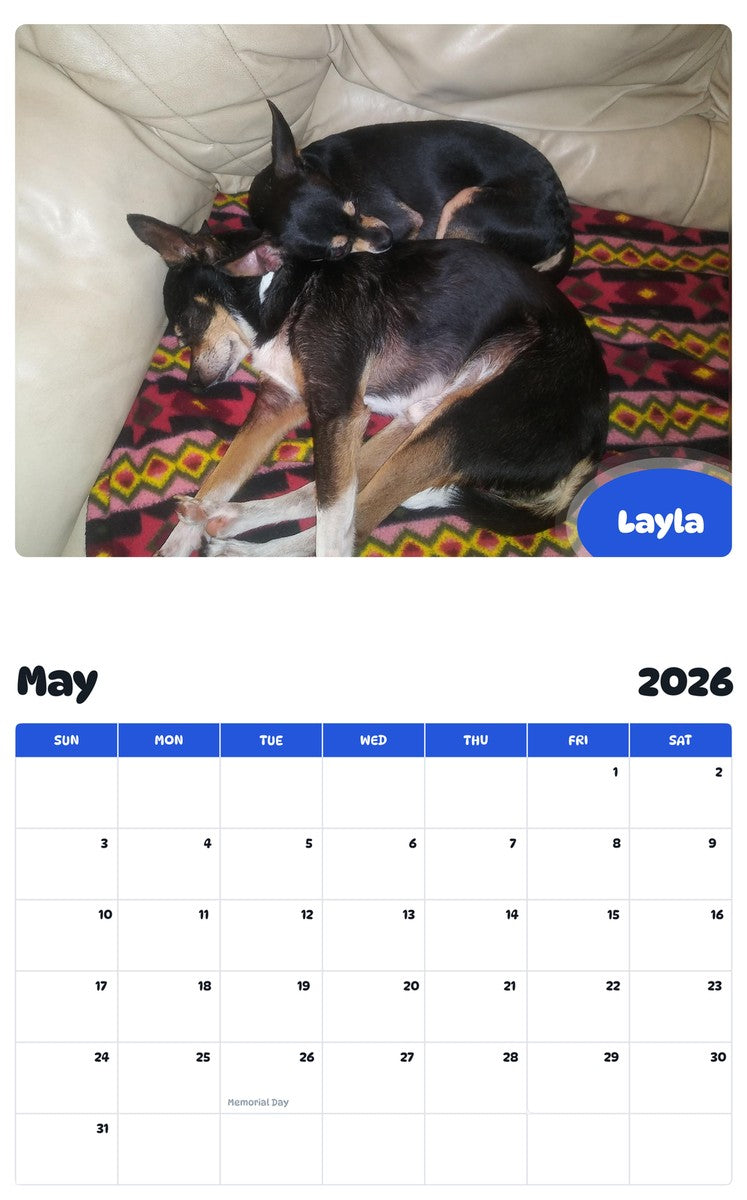 2026 - 2027 Layla - Pawidols Pet Calendar
