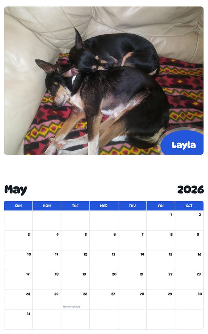 2026 - 2027 Layla - Pawidols Pet Calendar