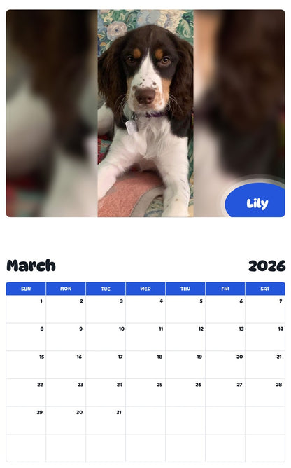 November 2025 - October 2026 Lily - Pawidols Pet Calendar