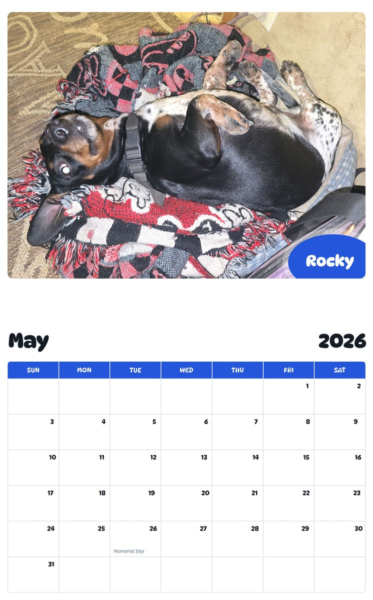 2026 - 2027 Rocky - Pawidols Pet Calendar