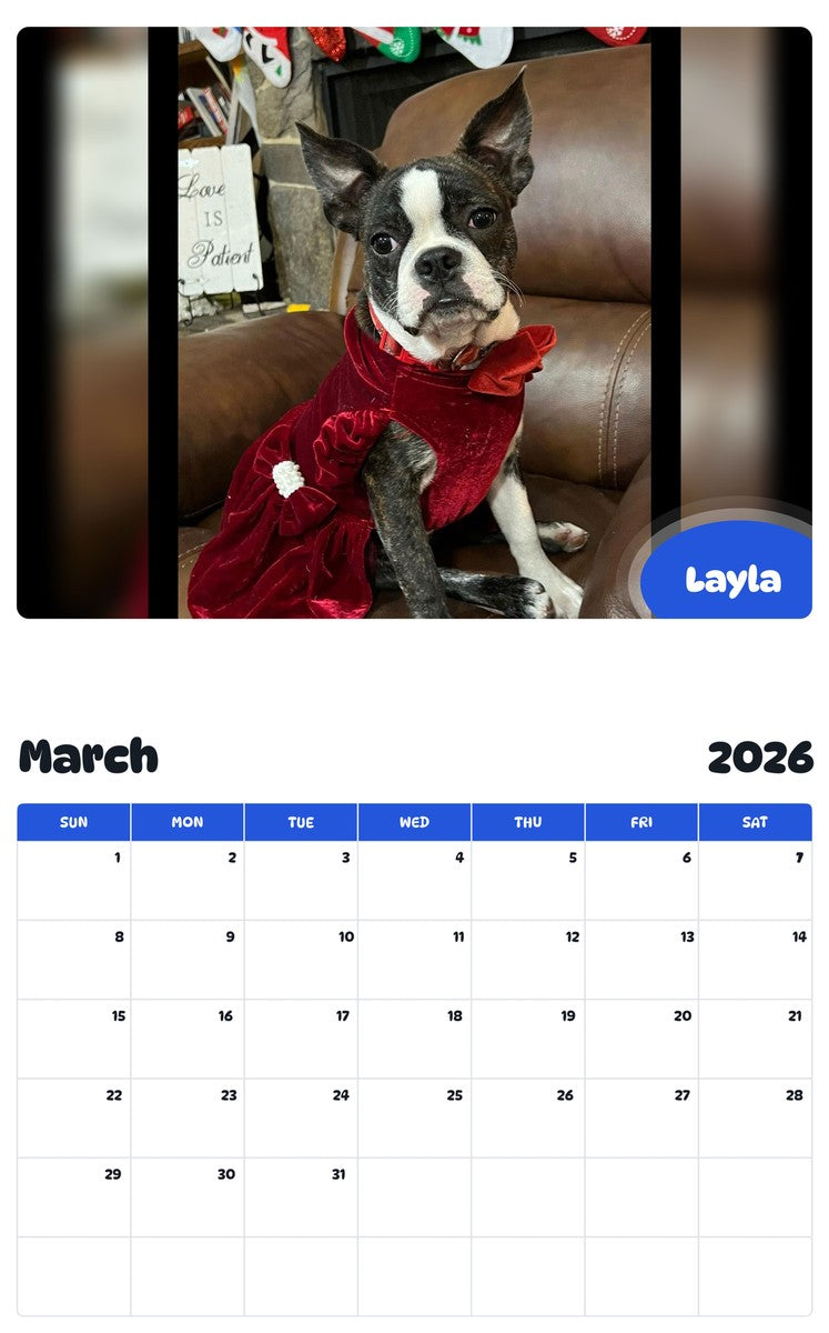 November 2025 - October 2026 Layla - Pawidols Pet Calendar