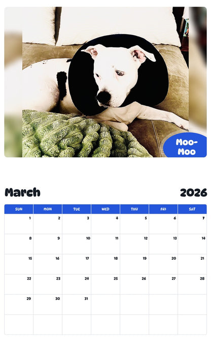 November 2025 - October 2026 Moo-Moo - Pawidols Pet Calendar
