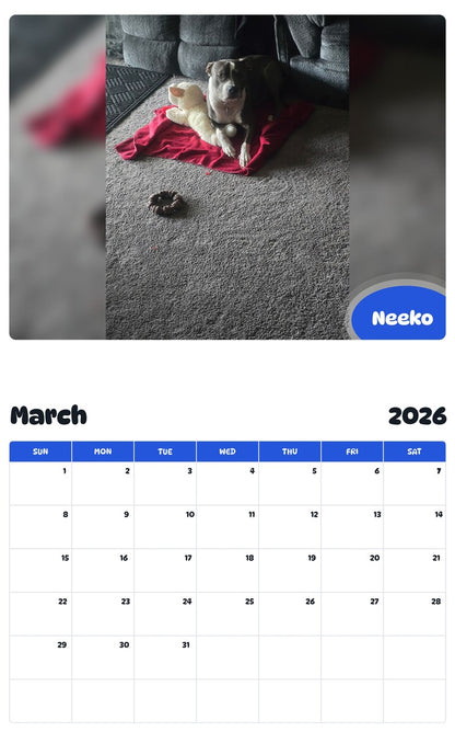 November 2025 - October 2026 Neeko - Pawidols Pet Calendar