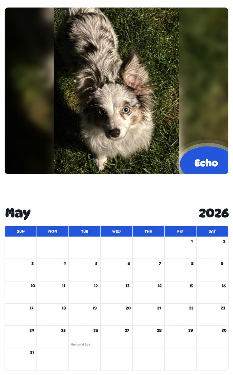 2026 - 2027 Echo - Pawidols Pet Calendar