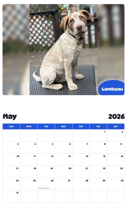 2026 - 2027 Lambeau - Pawidols Pet Calendar