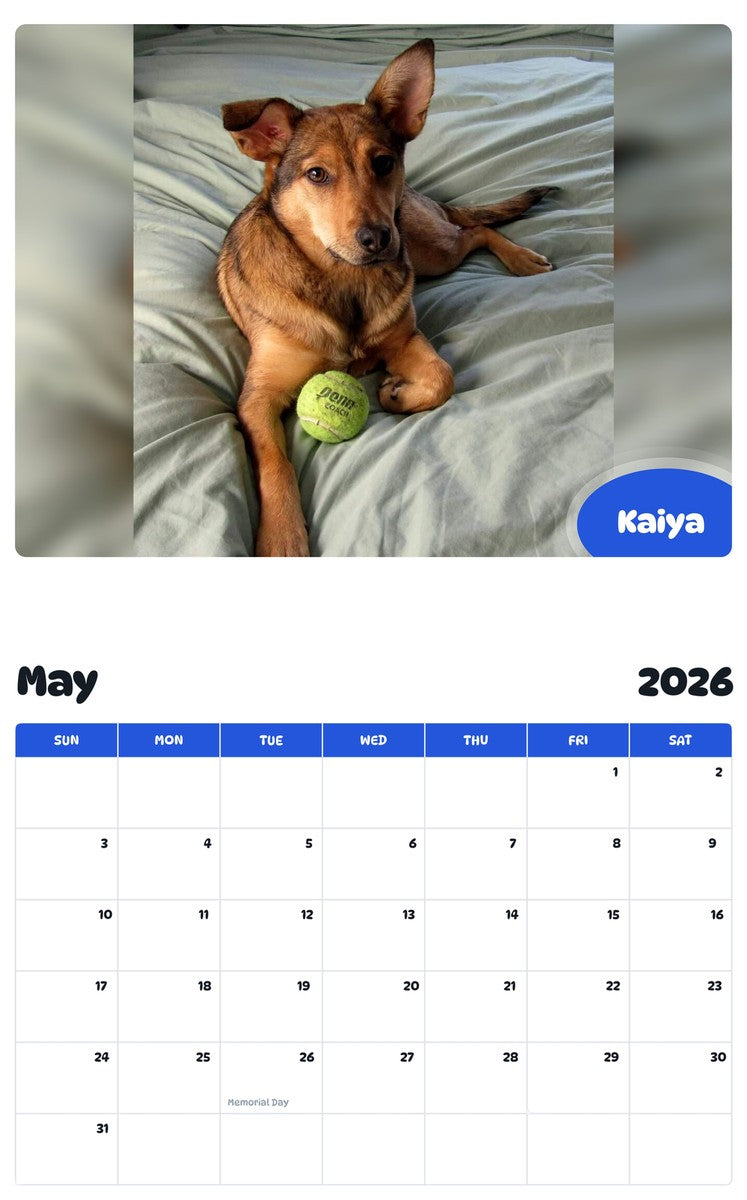 2026 - 2027 Kaiya - Pawidols Pet Calendar