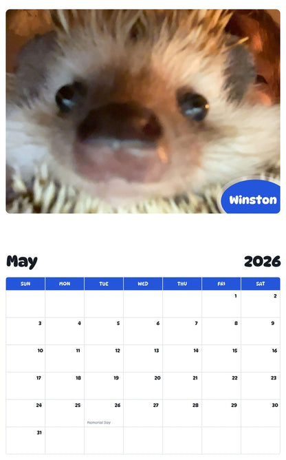 2026 - 2027 Winston - Pawidols Pet Calendar