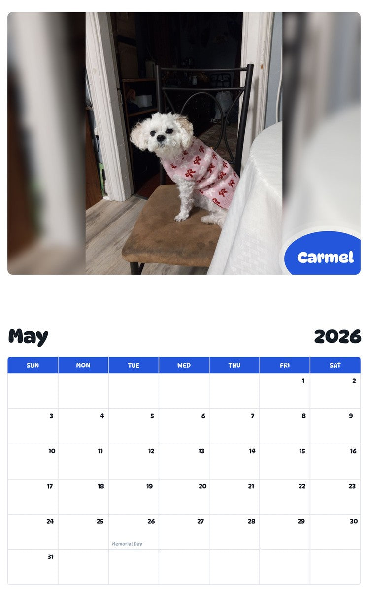 2026 - 2027 Carmel - Pawidols Pet Calendar
