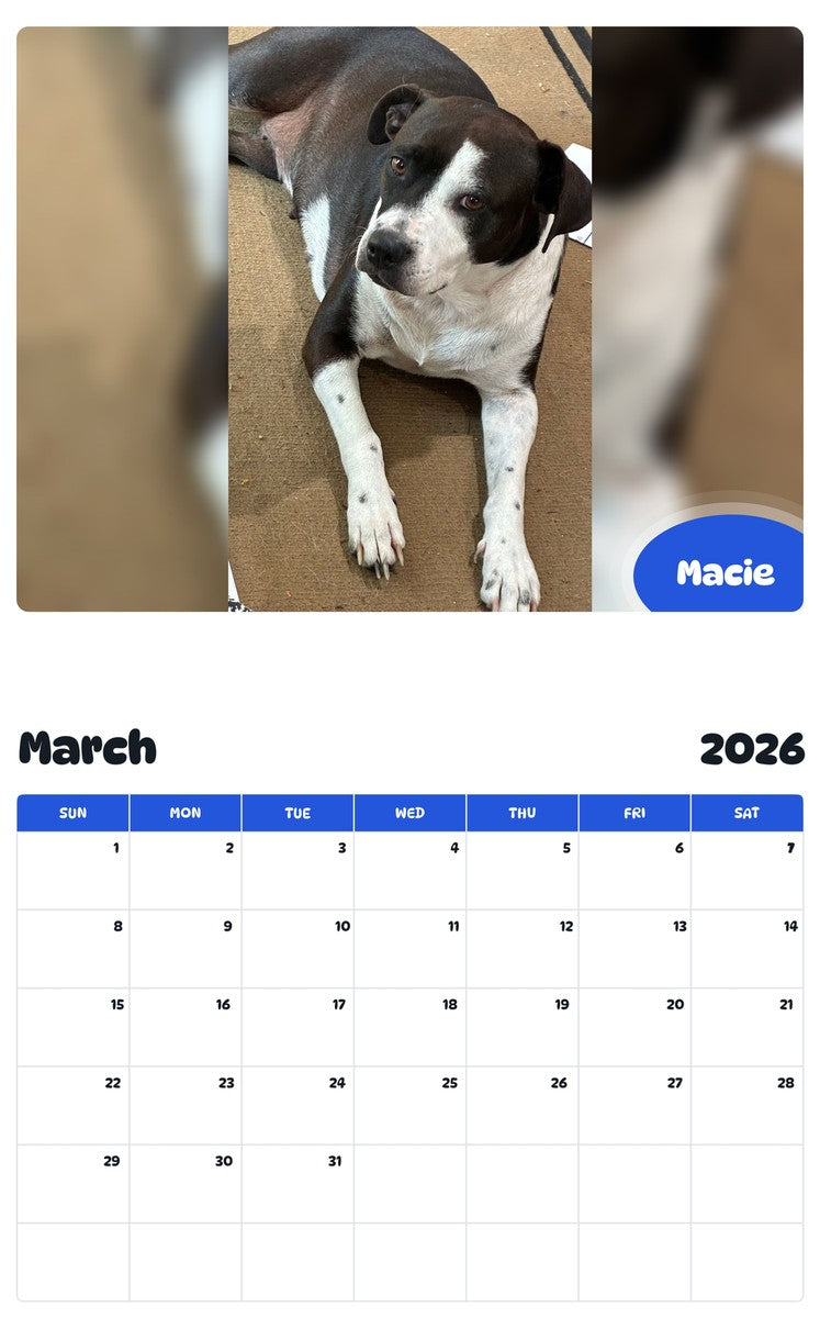 November 2025 - October 2026 Macie - Pawidols Pet Calendar