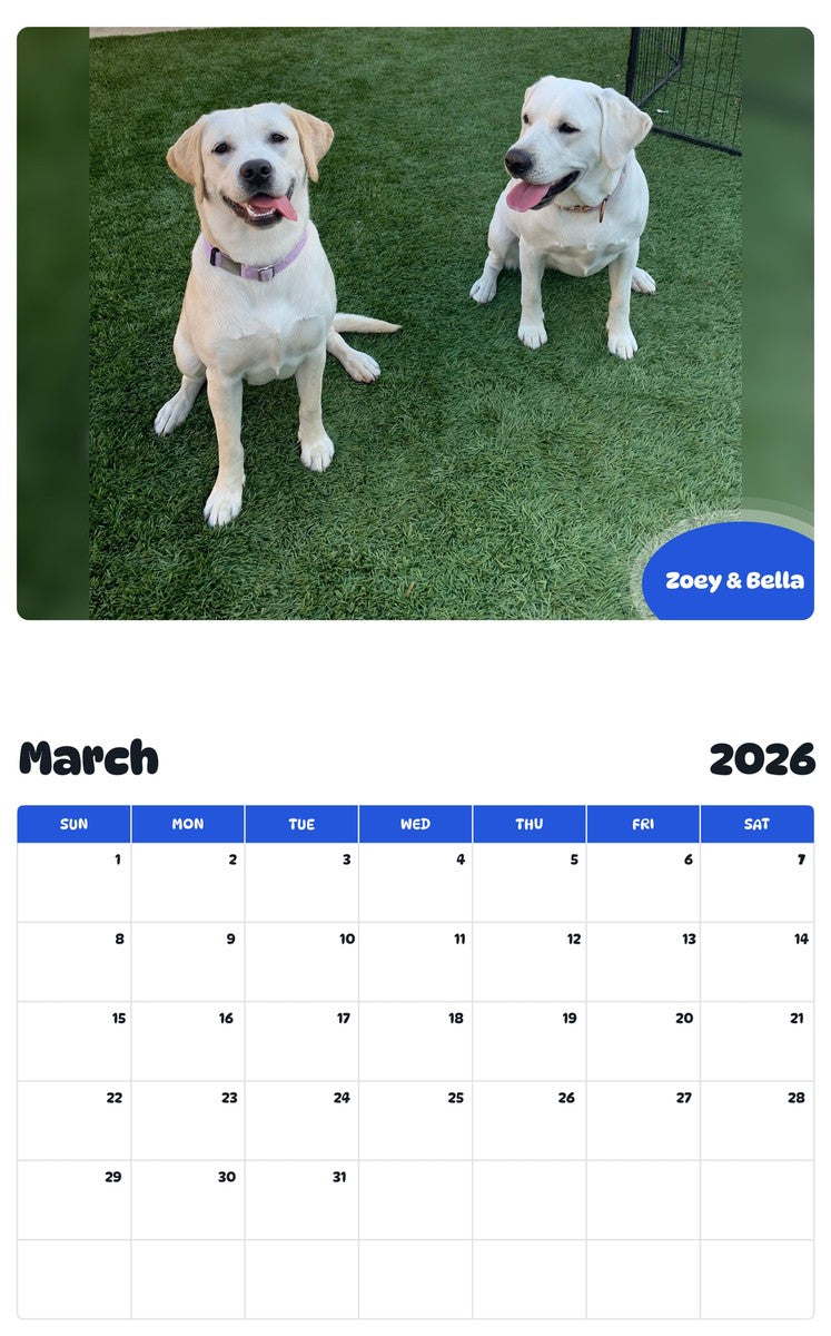 November 2025 - October 2026 Zoey & Bella - Pawidols Pet Calendar