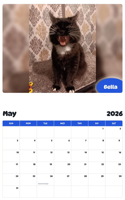 2026 - 2027 Bella - Pawidols Pet Calendar