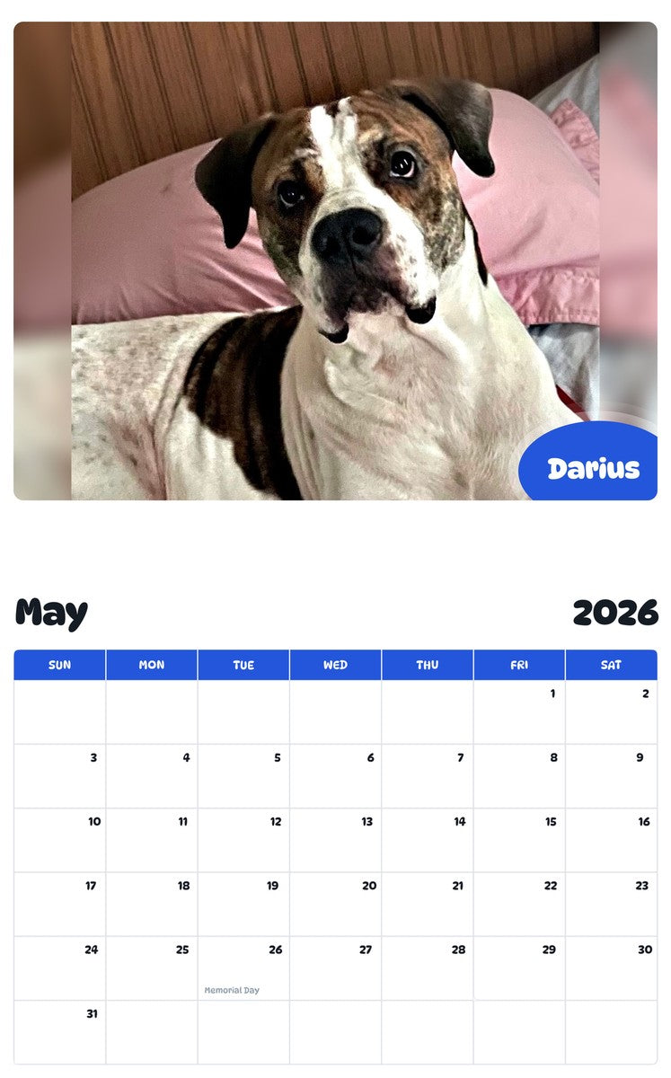 2026 - 2027 Darius - Pawidols Pet Calendar