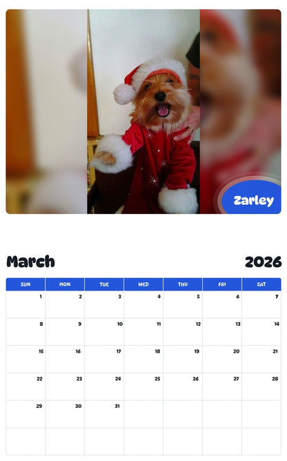 November 2025 - October 2026 Zarley - Pawidols Pet Calendar