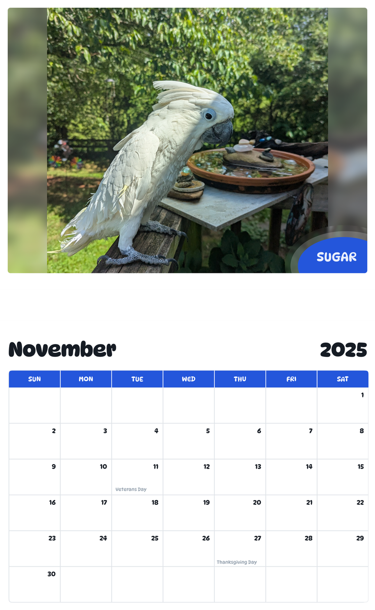 July 2025 - June 2026 Sugar - Pawidols Pet Calendar