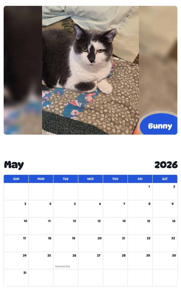 2026 - 2027 Bunny - Pawidols Pet Calendar