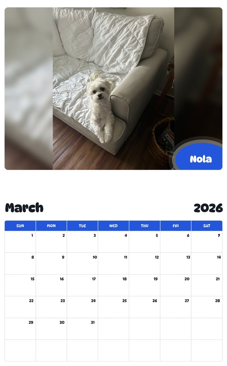 November 2025 - October 2026 Nola - Pawidols Pet Calendar