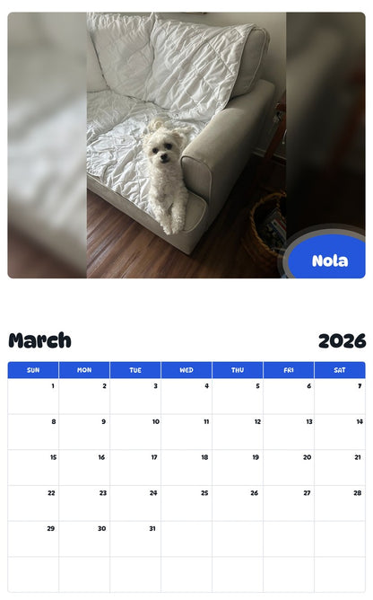 November 2025 - October 2026 Nola - Pawidols Pet Calendar