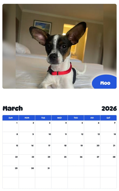November 2025 - October 2026 Moo - Pawidols Pet Calendar