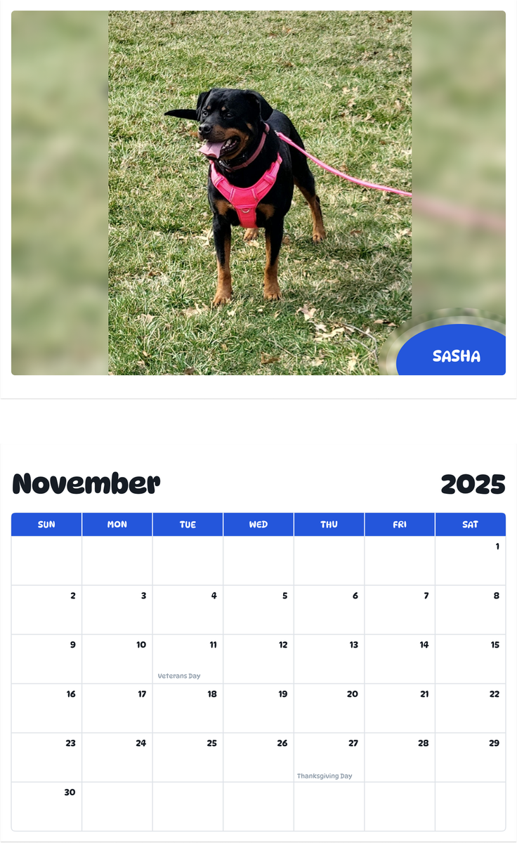 July 2025 - June 2026 Sasha - Pawidols Pet Calendar