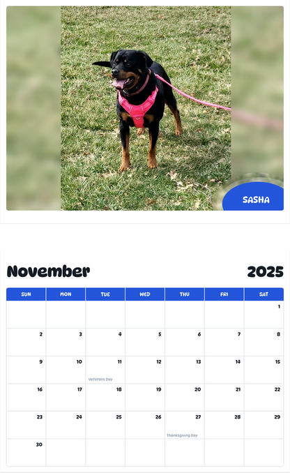 July 2025 - June 2026 Sasha - Pawidols Pet Calendar