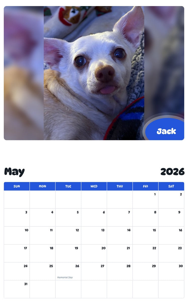2026 - 2027 Jack - Pawidols Pet Calendar