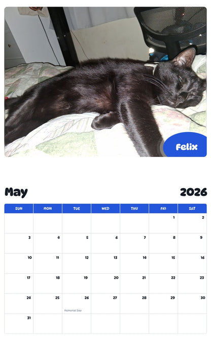 2026 - 2027 Felix - Pawidols Pet Calendar