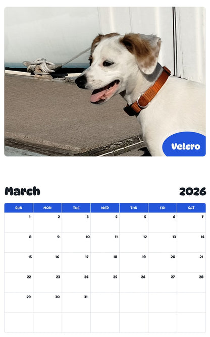 November 2025 - October 2026 Velcro - Pawidols Pet Calendar