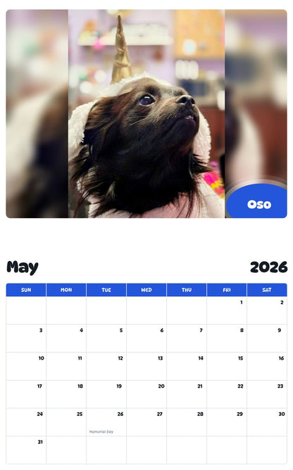 2026 - 2027 Oso - Pawidols Pet Calendar