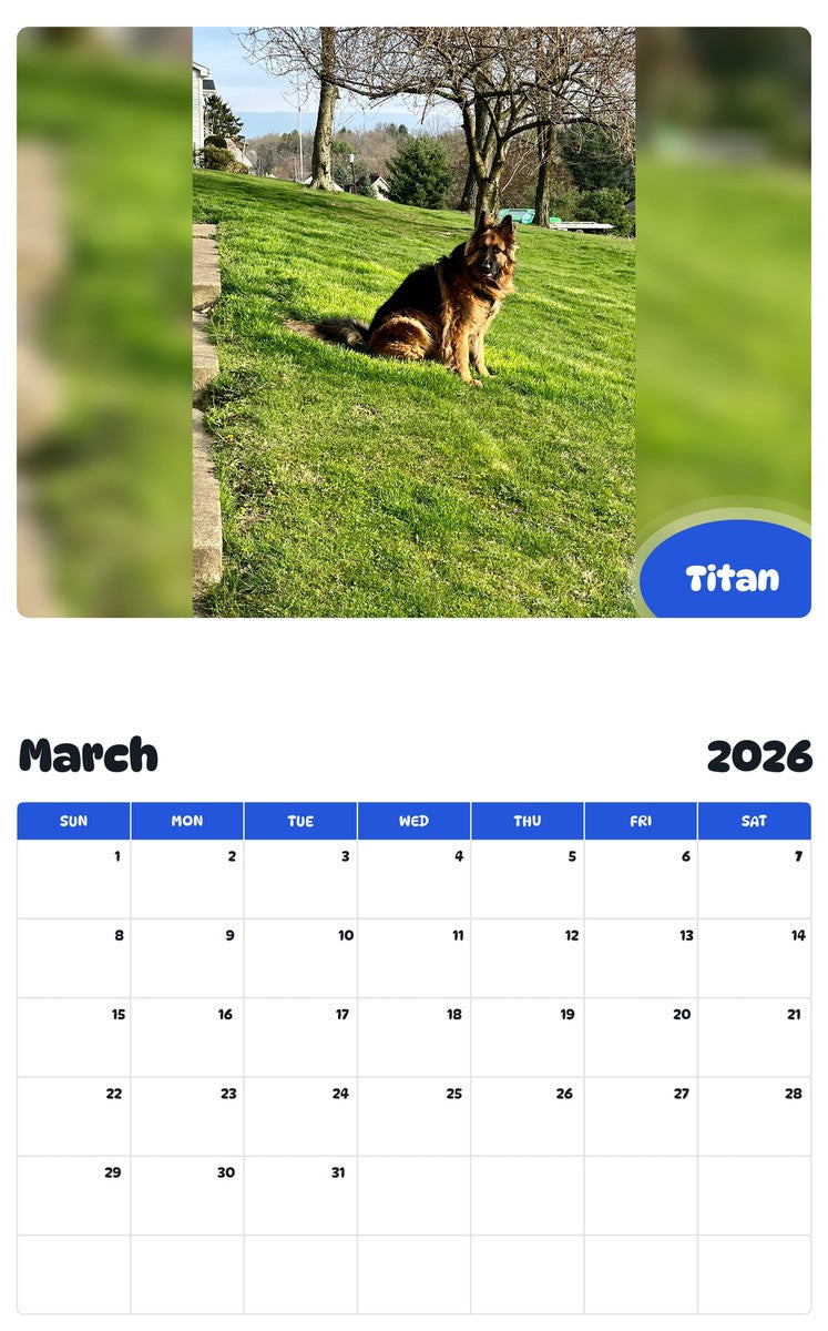 November 2025 - October 2026 Titan - Pawidols Pet Calendar