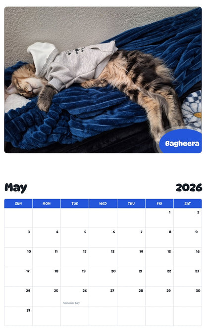 2026 - 2027 Bagheera - Pawidols Pet Calendar